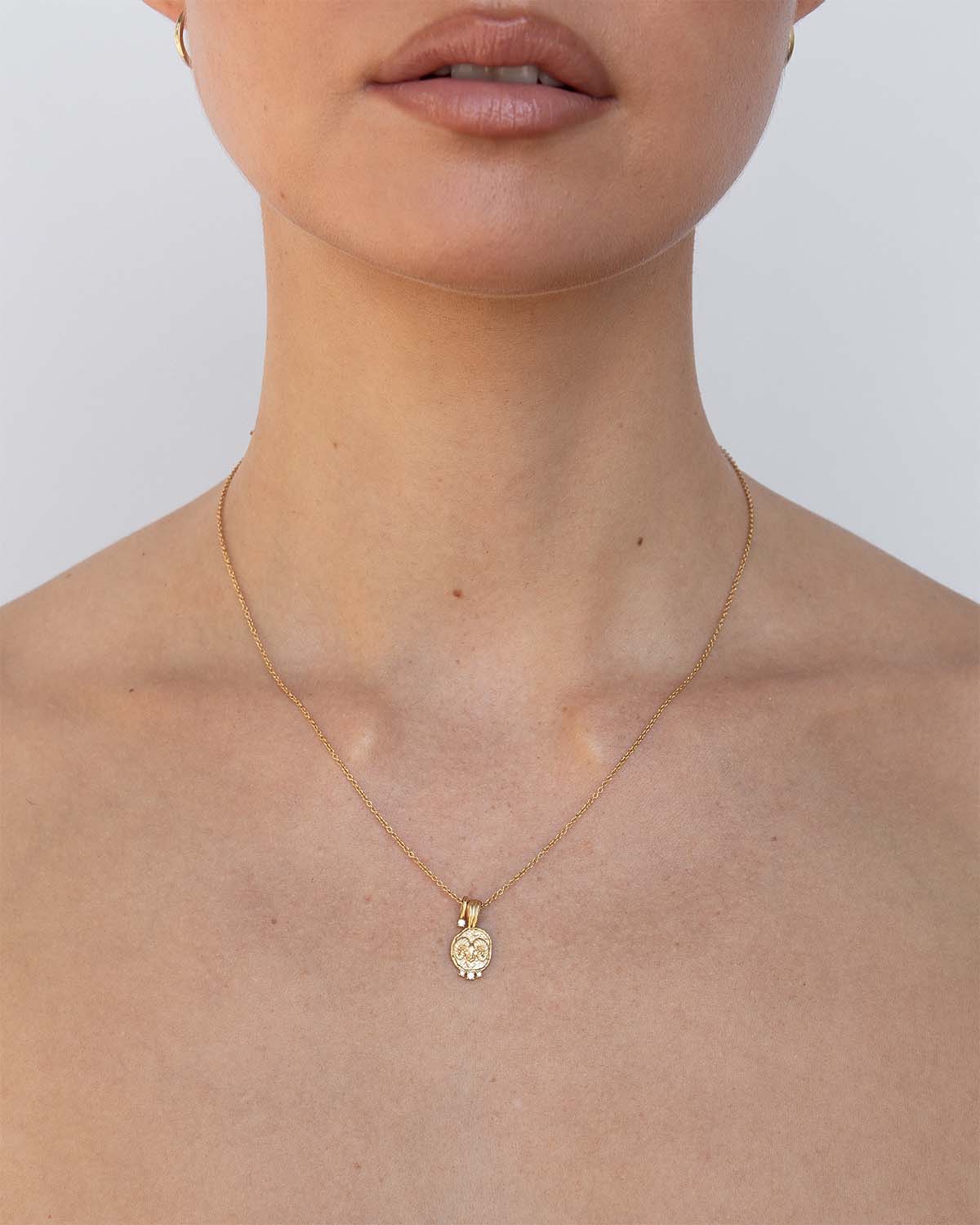 Aries Amulet Necklace - Image 4