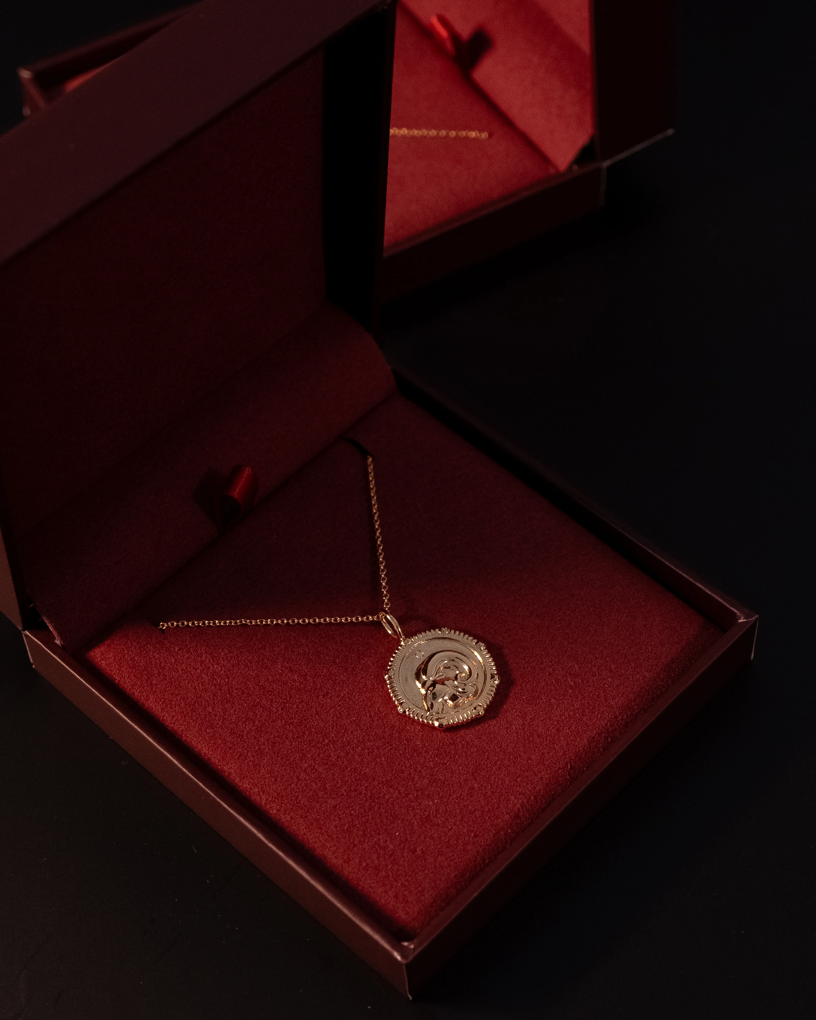 Aries Zodiac Necklace - Image 2