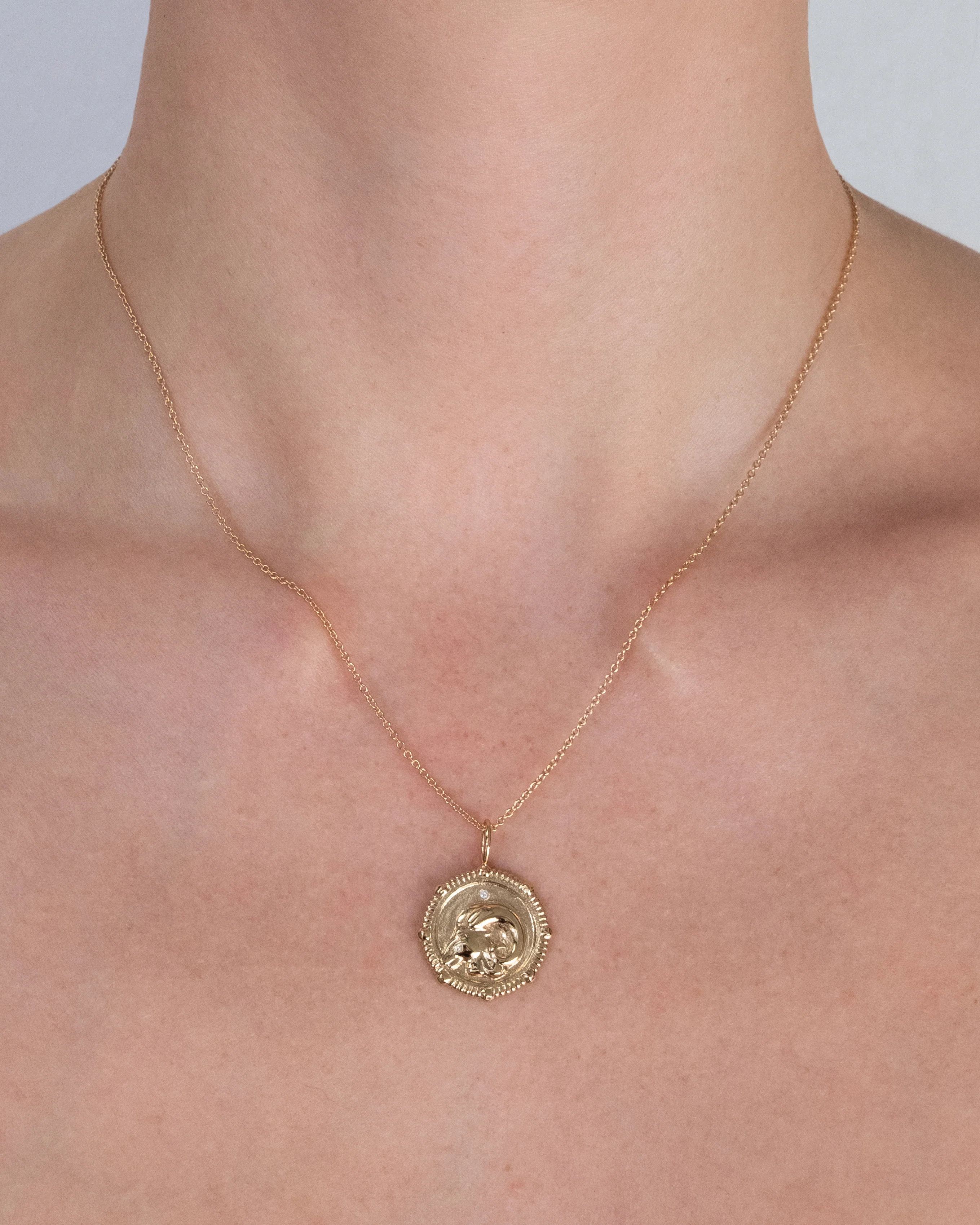 Aries Zodiac Necklace - Image 4