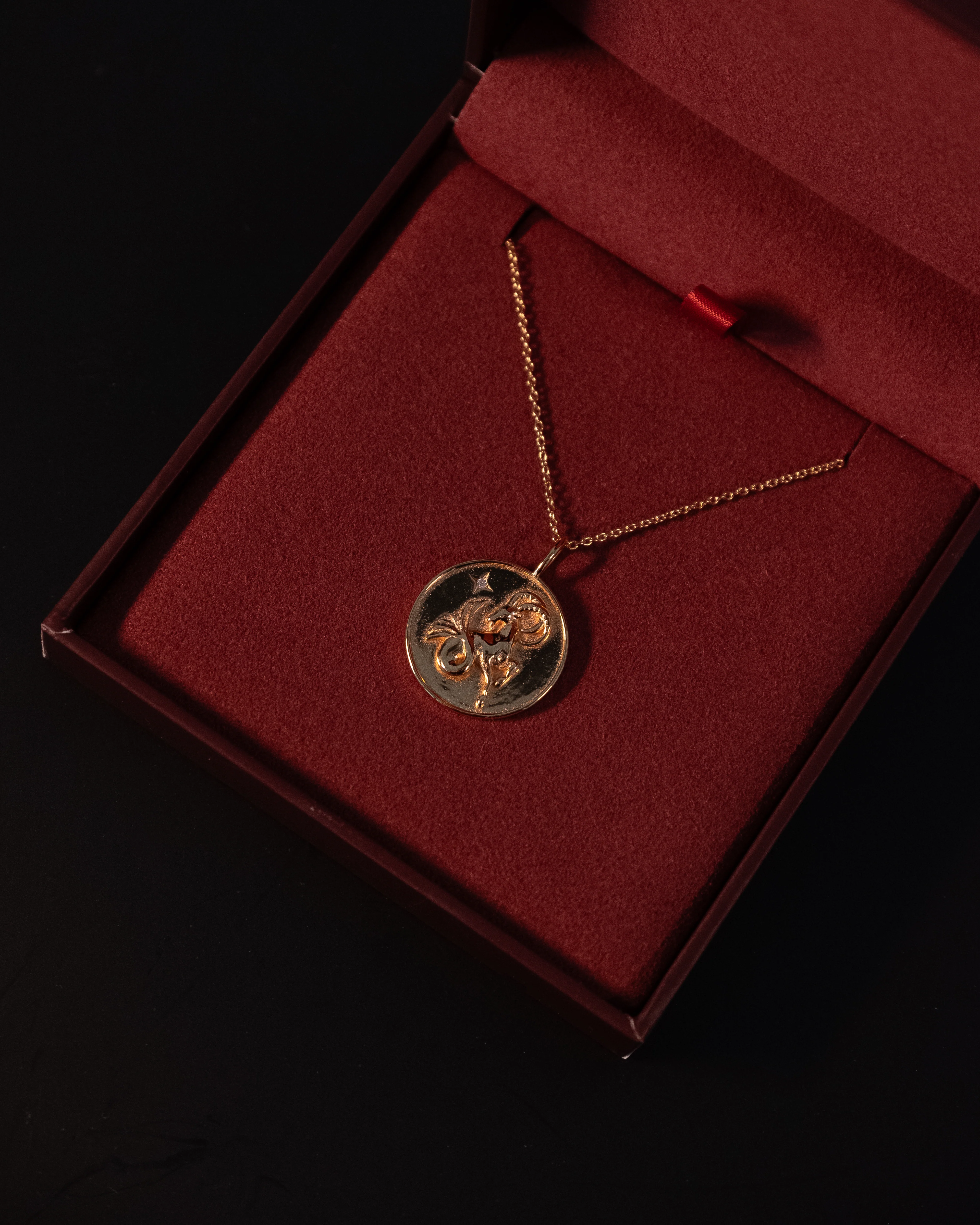 Capricorn Zodiac Necklace - Image 3