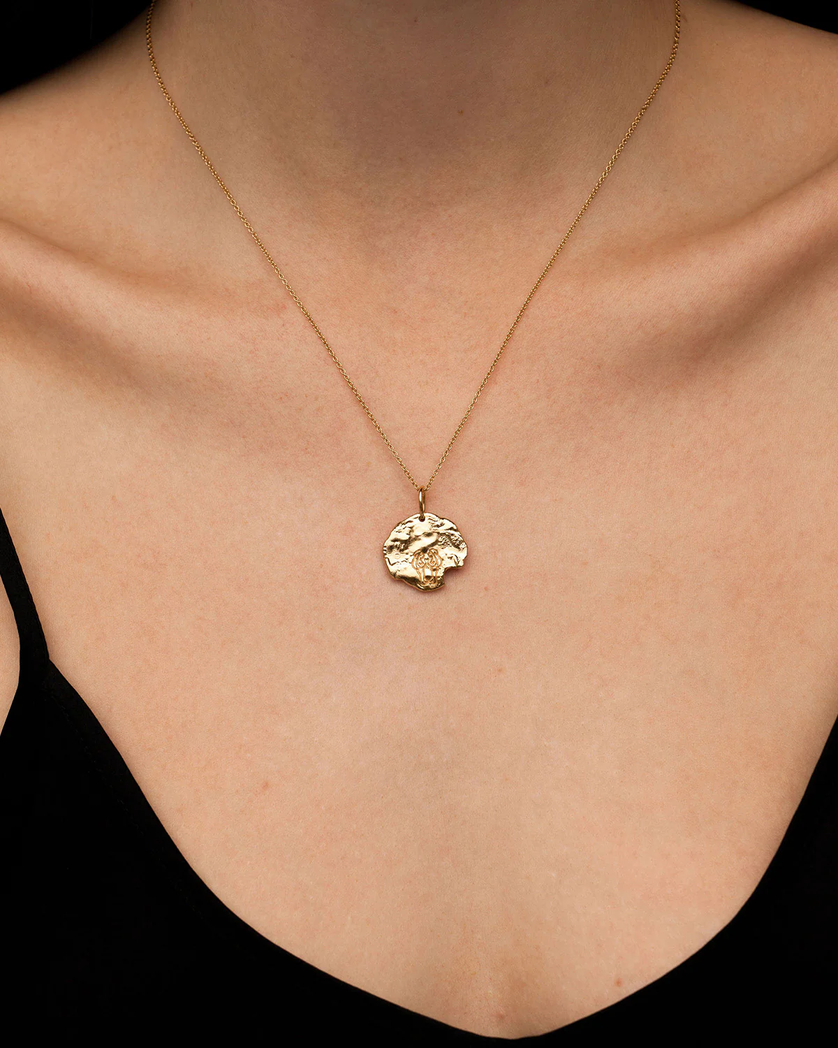 Gemini Astrology Necklace - Image 4