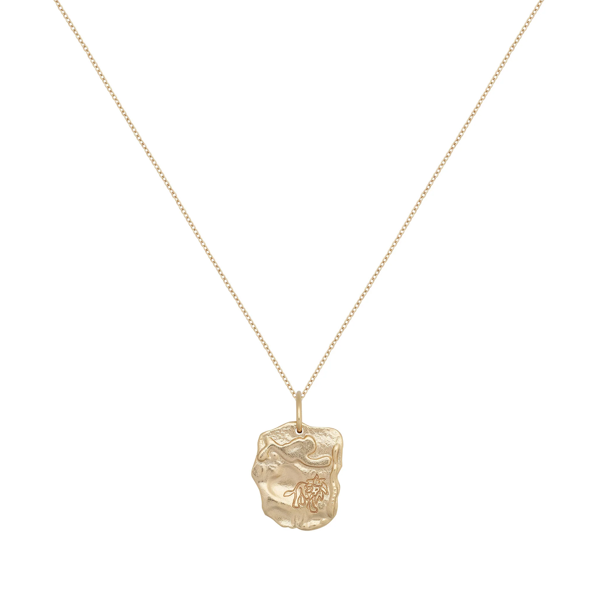 Leo Astrology Necklace