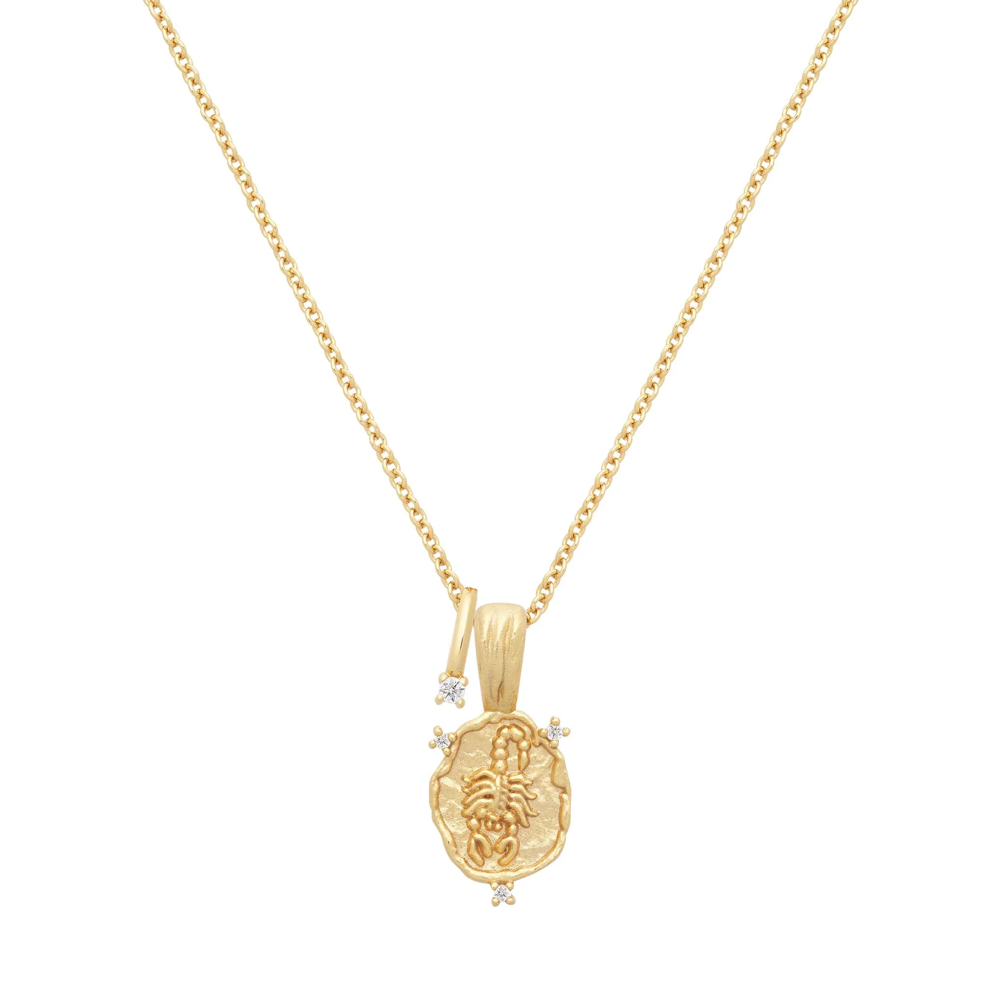 Scorpio Amulet Necklace