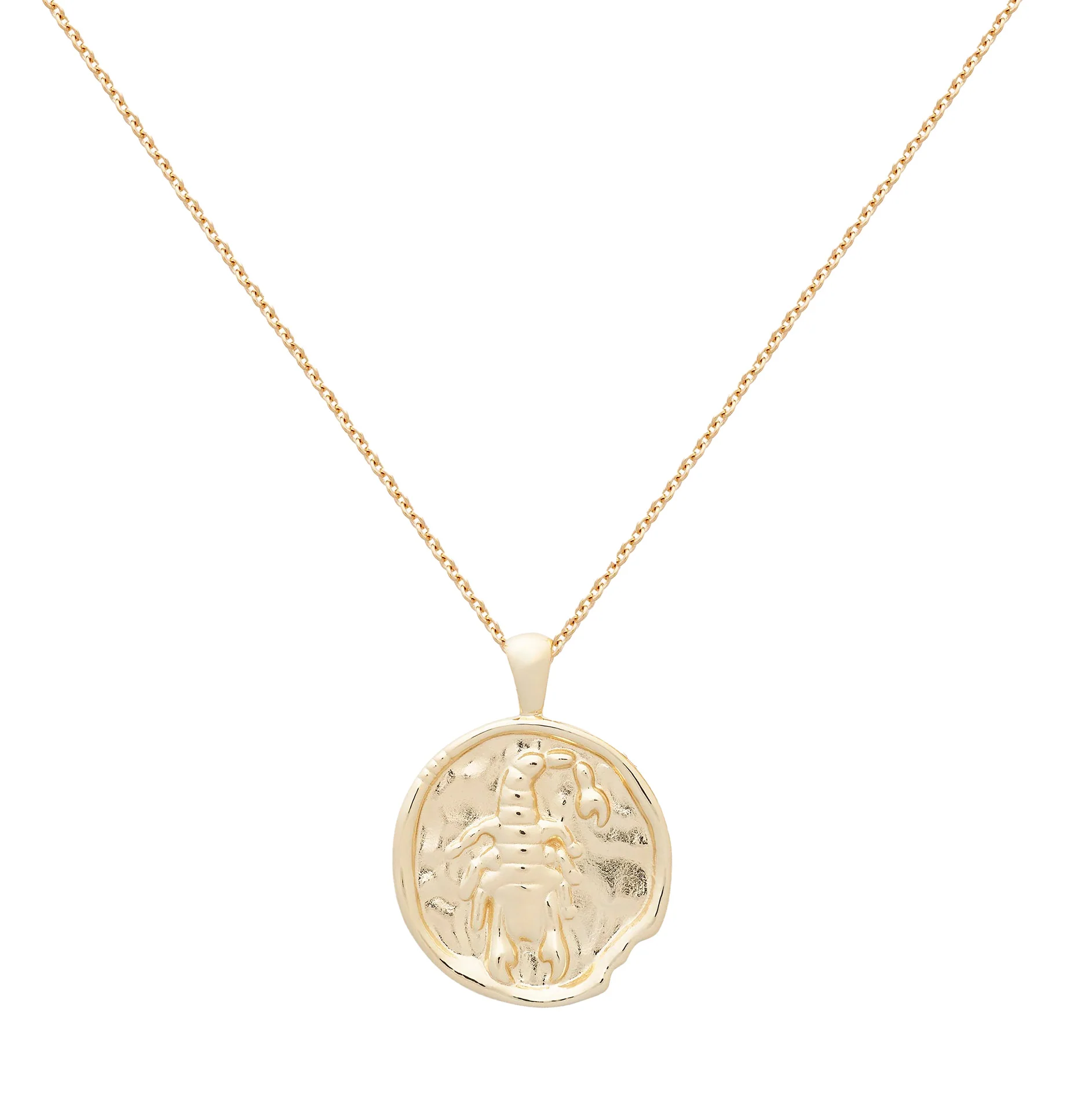 Scorpio II Necklace