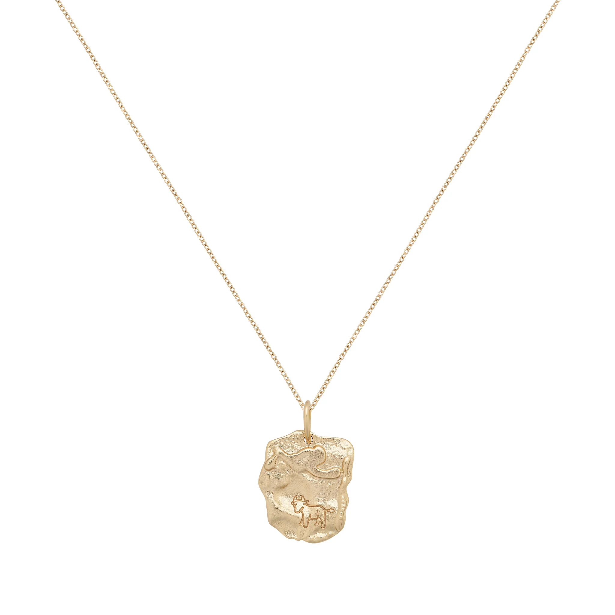 Taurus Astrology Necklace